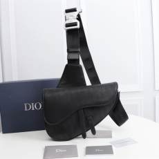 Christian Dior Saddle Bags